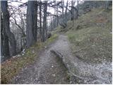 Stahovica - Kapela Marije Snežne (Velika planina)